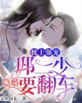 枕上强宠:邢二少隐婚要翻车