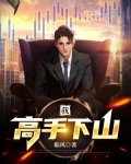 我,高手下山