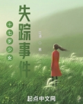 十七岁少女失踪事件