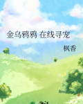 金乌鸦鸦 在线寻宠