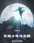 开局少年华夏说的小说