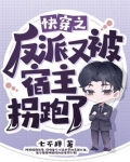 快穿之反派又被宿主拐跑了小说