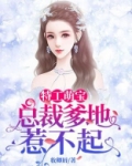 特工萌宝:总裁爹地惹不起