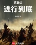 灭金伐宋，将北伐进行到底