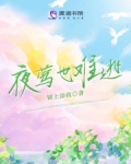 歌词夜莺
