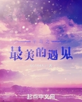 半岛之最美的遇见 笔趣趣