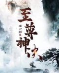 至尊神诀叶风