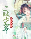 二嫁之神医王妃