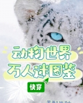 动物世界万人迷图鉴（快穿）