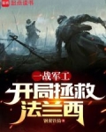 我在一战当财阀:开局拯救法兰西 作者:钢翼铁骑