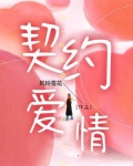 契约爱情电视剧免费观看