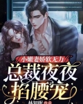 总裁夜夜宠免费阅读