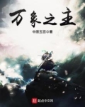 万象之主顶点