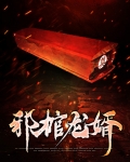 邪棺龙婿百度百科