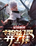 全球御灵我的幻灵开了挂TXT下载