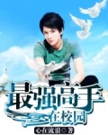 最强高手在校园小说TXT下载