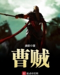 曹贼