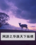 网游之华族天下纵横