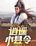 逍遥小县令 情绪的面具