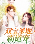 双宝爹地霸道宠