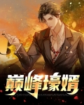 巅峰战婿 小说