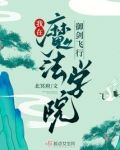 我在魔法学院御剑飞行