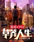重返1994草莽人生TXT