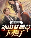 离婚后：冰山女总裁后悔了