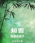 知否我是徐家子免费