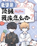 老婆是顶级Alpha,我该怎么办笔趣阁什么时候表白