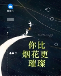 你比烟花更璀璨全文免费阅读无弹窗