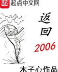 返回2006