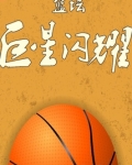 篮坛巨星闪耀 小说