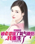 1980：被老婆拔了氧气管后，我重生了