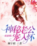 一夜蜜婚:神秘老公宠入怀