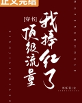 我捧红了顶级流量[穿书]免费