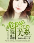 危险关系,魅影首席的出逃妻 仙泉小语