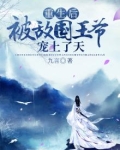 重生后被敌国王爷宠上了天