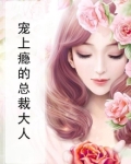 宠上瘾的总裁大人