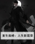 重生走上人生巅峰的小说
