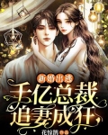 新婚出逃:千亿总裁追妻成狂