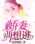 这部小说名叫《重生:娇妻别跑总裁变妻奴》