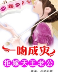 一吻成灾：拒嫁天王老公