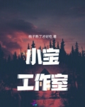 小宝工作室pe