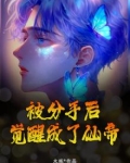 被分手后我成为大佬