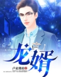 龙婿