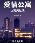 爱情公寓之南风过境