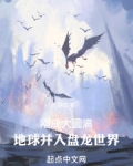 刚成大圆满,地球并入盘龙世界笔趣阁