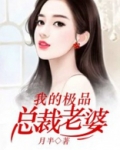 我的极品总裁老婆完整版