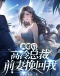 离婚后，高冷总裁前妻挽回我